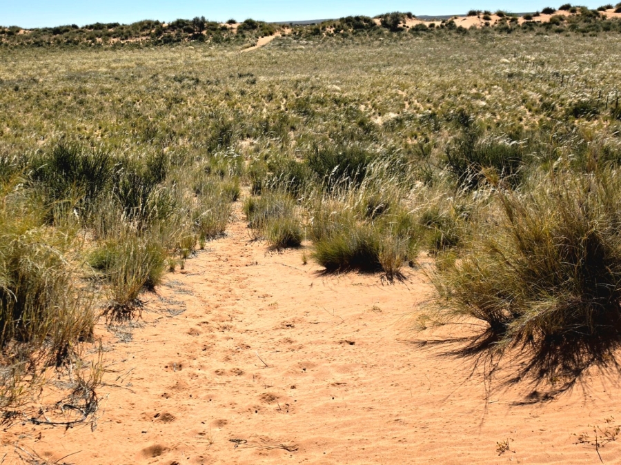 Commercial Property for Sale in Upington Rural Northern Cape